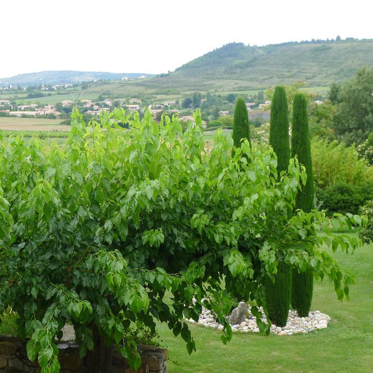 فندق Domaine De La Manse فيلنوف دي بيرغ المظهر الخارجي الصورة