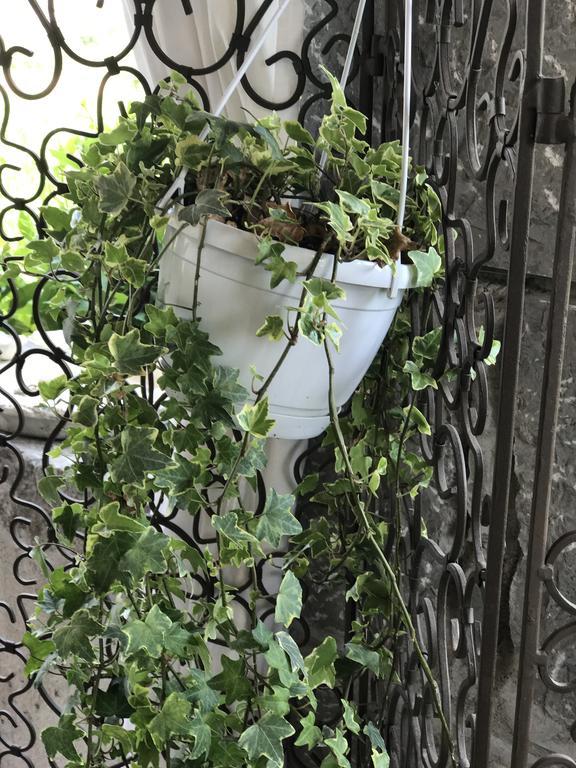 فندق Domaine De La Manse فيلنوف دي بيرغ المظهر الخارجي الصورة